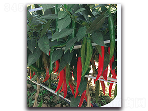 �t��301����-�����N��-�F(xi��n)������