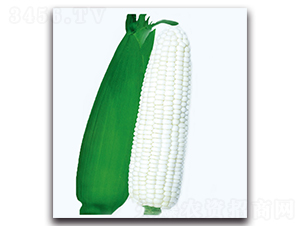 ��Ŵ2̖(h��o)����-Ŵ���׷N��-�F(xi��n)������