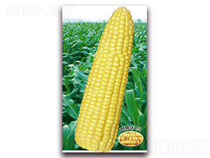 �f�S��Ŵ1015-Ŵ���׷N��-�A��N�I(y��)