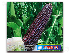 �f��Ŵ109-Ŵ���׷N��-�A��N�I(y��)