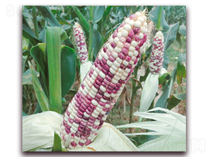 �fŴ162-Ŵ���׷N��-�A��N�I(y��)