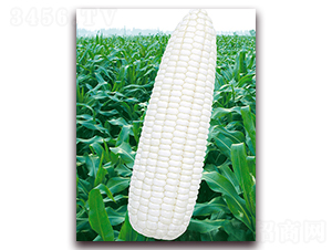 �fŴ102-Ŵ���׷N��-�A��N�I(y��)