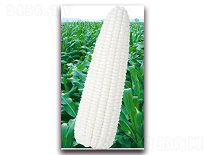 �fŴ2000-Ŵ���׷N��-�A��N�I(y��)