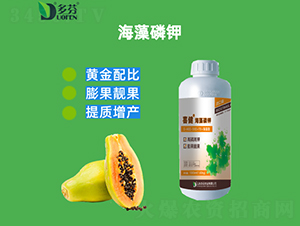 �������-ϲ��-����r(n��ng)�I(y��)