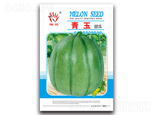 �������-��ϷN��-���ܷN�I(y��)