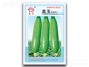 ���������J-�����J�N��-���ܷN�I(y��)