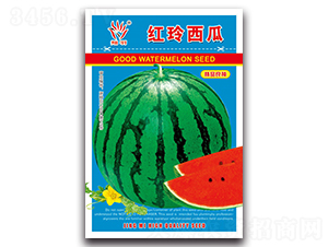 �t������-���ϷN��-���ܷN�I(y��)