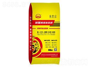 ̼���S���ᵪ��-�����S