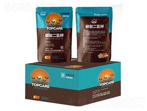 2.5kg��������-�����S