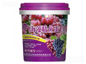 ���徫�~(y��)����-������-�����S