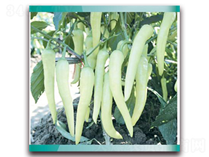 ����1̖(h��o)-�����N��-���ܷN�I(y��)