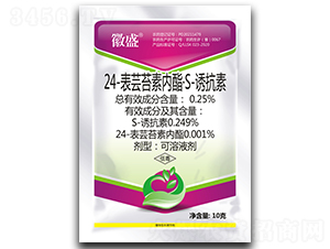 24���|̦�؃�(n��i)����S-�T����-΢ʢ-���r(n��ng)����