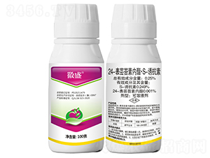 24���|̦�؃�(n��i)����S-�T���أ�100�ˣ�-΢ʢ-���r(n��ng)����