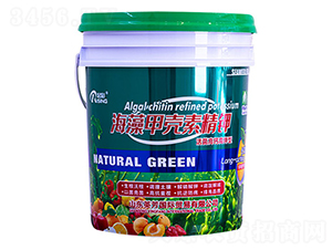 ����ך��ؾ��-���-Ӣ��