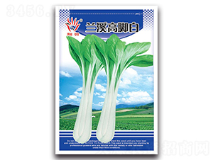 �mϪ���_��-�ײ˷N��-���ܷN�I(y��)