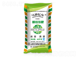 ���@����-���R�ʘI(y��)