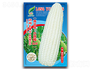 �׼�Ŵ826-Ŵ���׷N��-���ܷN�I(y��)