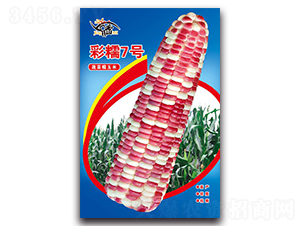 ��Ŵ7̖(h��o)-Ŵ���׷N��-���ܷN�I(y��)