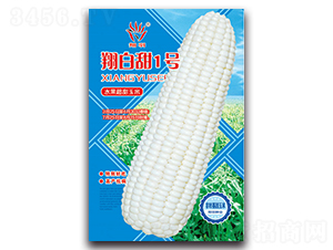 �����1̖(h��o)-�����׷N��-���ܷN�I(y��)