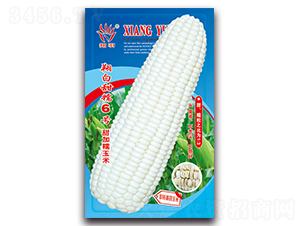 �����Ŵ6̖(h��o)-Ŵ���׷N��-���ܷN�I(y��)