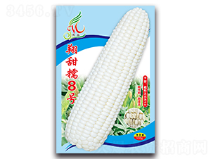 ����Ŵ8̖(h��o)-Ŵ���׷N��-���ܷN�I(y��)