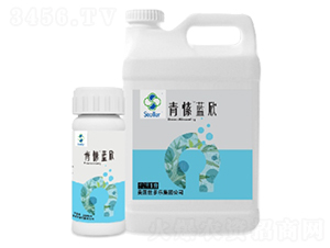 ����{��-������