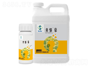 ���Ľ-������