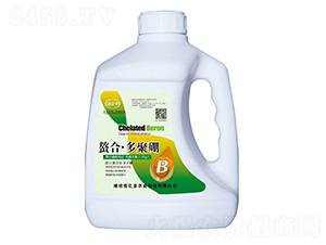 ���ϡ������-�у|��