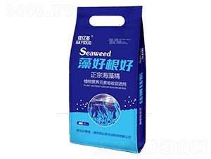 ��ø��ú��徫-�у|��