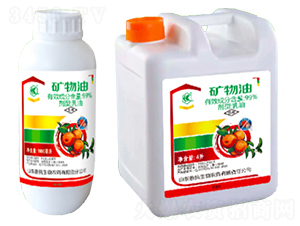 99%�V��������-��������