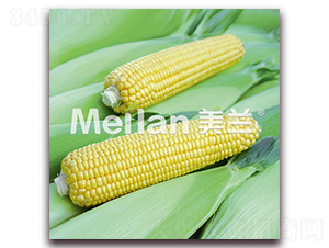 ������009-�����׷N��-�G��