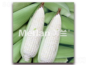 ����Ŵ11̖(h��o)-Ŵ���׷N��-�G��