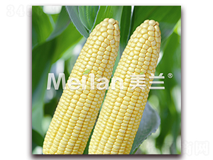 �������Ŵ18̖(h��o)-��Ŵ���׷N��-�G��