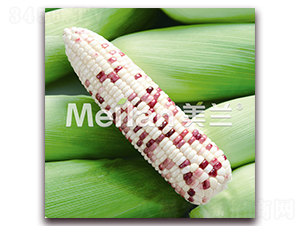 �������Ŵ16̖(h��o)-��Ŵ���׷N��-�G��