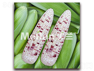 �������Ŵ15̖(h��o)-��Ŵ���׷N��-�G��