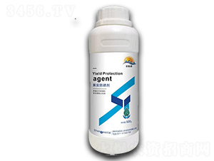 ʥ��(w��n)̩����(sh��)����-����r(n��ng)��