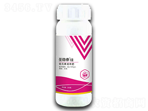 ʥ��(w��n)̩���-����r(n��ng)��