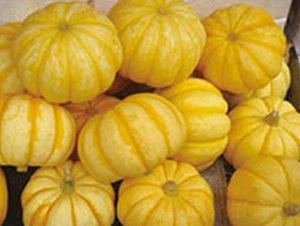 ����-�ϹϷN��-���߷N�I(y��)