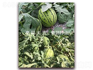 �������-���ϷN��-���߷N�I(y��)