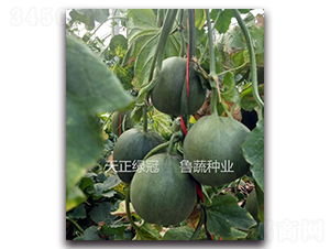 �����G��-��ϷN��-���߷N�I(y��)