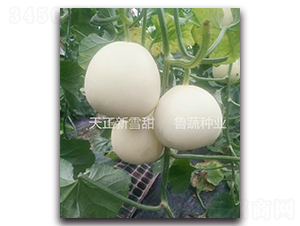 ������ѩ��-��ϷN��-���߷N�I(y��)