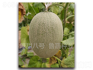 �����̖(h��o)-��ϷN��-���߷N�I(y��)