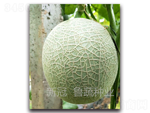 �¹�-��ϷN��-���߷N�I(y��)