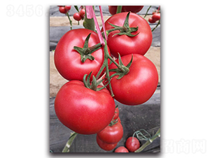 ����108-���ѷN��-���߷N�I(y��)