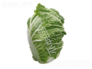 ţ��25̖-�ײ˷N��-���߷N�I(y��)