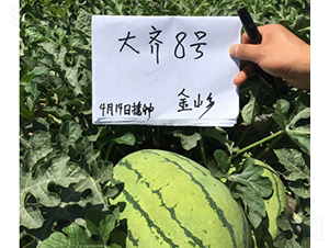 ���R��̖-���ϷN��-���R�r(n��ng)�I(y��)