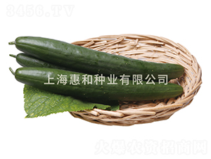 ���Gһ̖-�S�ϷN��-�ݺͷN�I(y��)