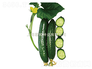 ����-�S�ϷN��-�ݺͷN�I(y��)