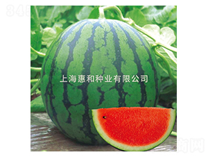 �P��2020-���ϷN��-�ݺͷN�I(y��)