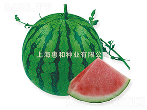 ���8424-���ϷN��-�ݺͷN�I(y��)